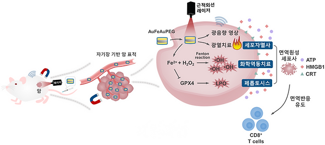 KRISS가 개발한 다기능성 나노물질의 치료 플랫폼 모식도. ⓒ한국표준과학연구원