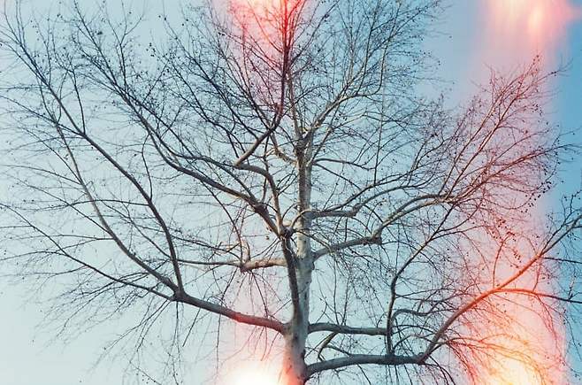 7ded8076b5826cff3eef85e344847468218366c570b2b7b3b308329685da24014f4004