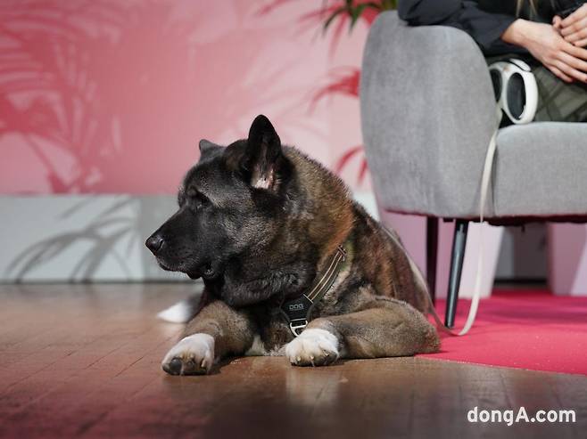 로얄캐닌 벳 심포지엄 2025