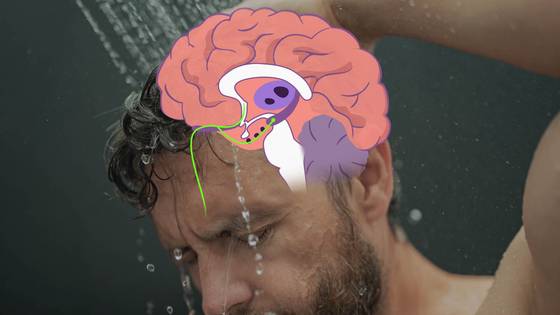 샤워를 하면서 치매를 알아채는 아주 간단한 방법이 있다. 아주 사소한 변화를 감지하는 것이지만 그 과학적 근거는 확실하다. 이하 그래픽 이경은·박지은