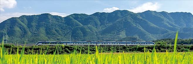 코레일이 지난달 실시한 제16회 철도사진공모전에 선정된 김부영 씨의 ‘익어가는 길’ 작품 사진. /코레일 제공