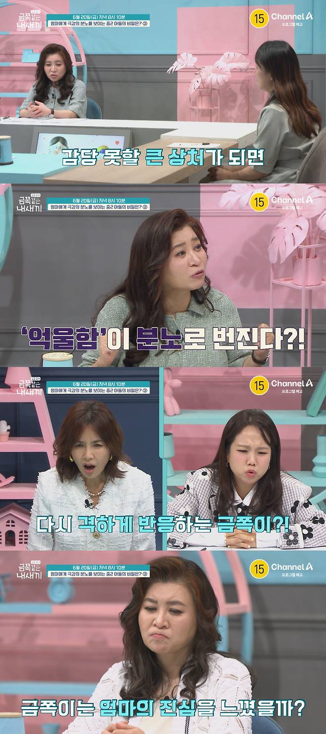 채널A ‘요즘 육아 – 금쪽같은 내새끼’ 제공