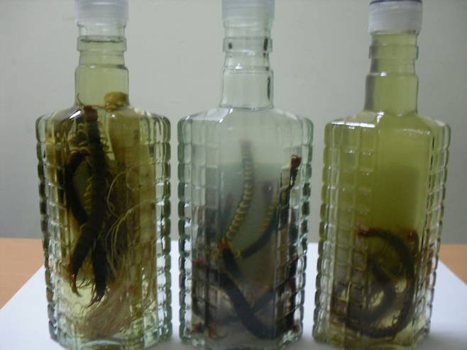 [서울=뉴시스] 18일 식약처에 따르면 지네는 벌의 독과 유사한 유독성분을 함유하고 있으며, 독성으로 낙태의 위험이 있으므로 임산부가 복용해서는 안된다. (사진=식약처 제공) 2025.06.18. photo@newsis.com *재판매 및 DB 금지