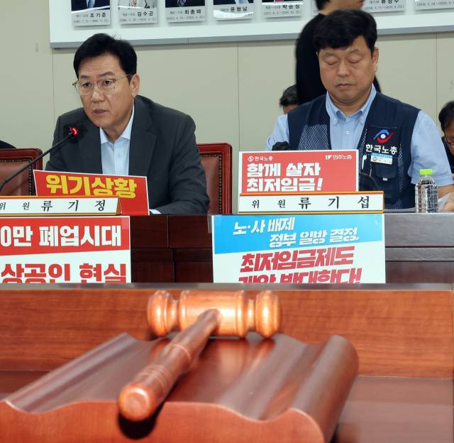 최저임금위원회 사용자위원인 류기정(왼쪽) 한국경영자총협회 전무가 19일 정부세종청사에서 열린 최저임금위원회 제6차 전원회의에서 발언하고 있다. 연합뉴스
