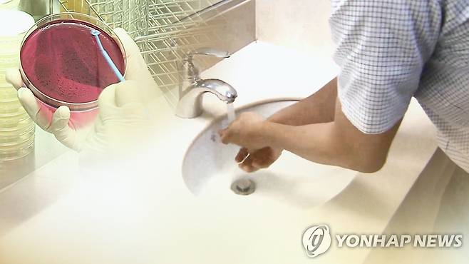 때이른 무더위에 식중독 주의보…'손씻기'가 중요 (CG) [연합뉴스 자료사진]