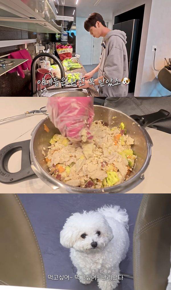 ⓒ유튜브 채널 '정동원(JD1)'