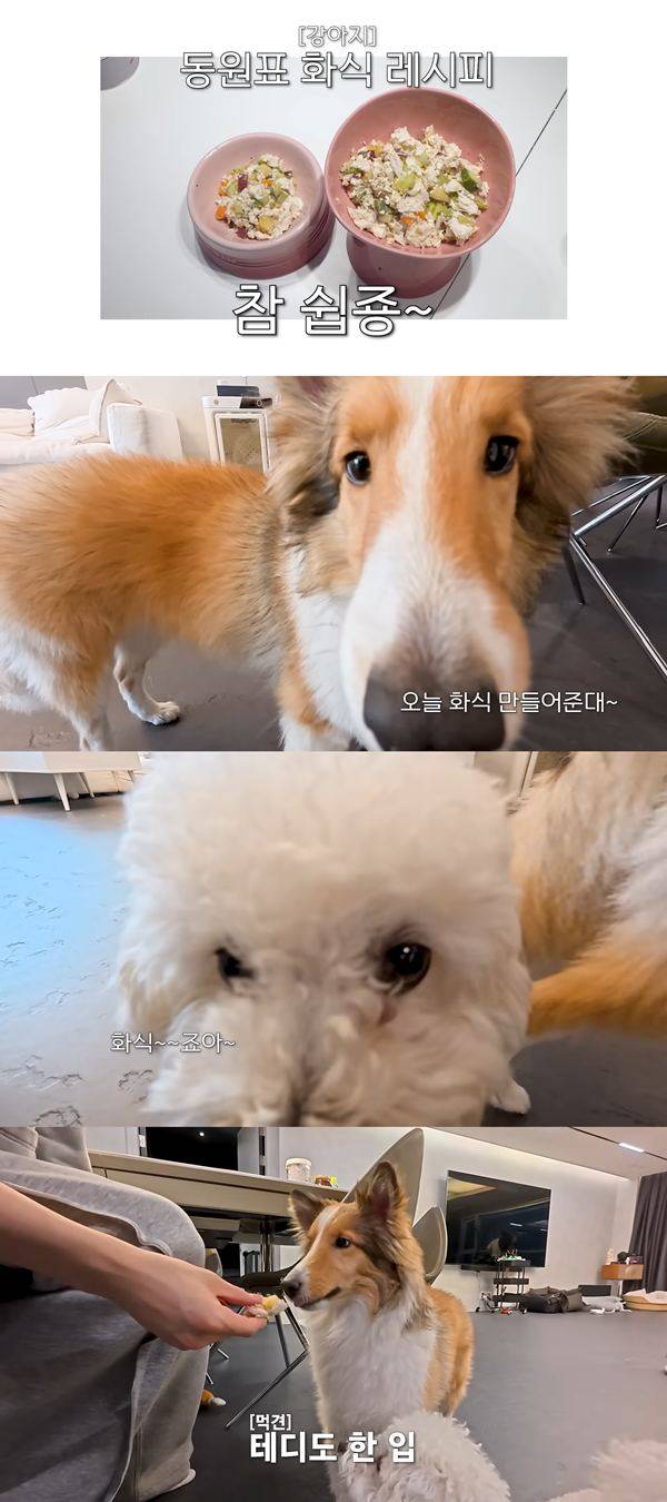 ⓒ유튜브 채널 '정동원(JD1)'