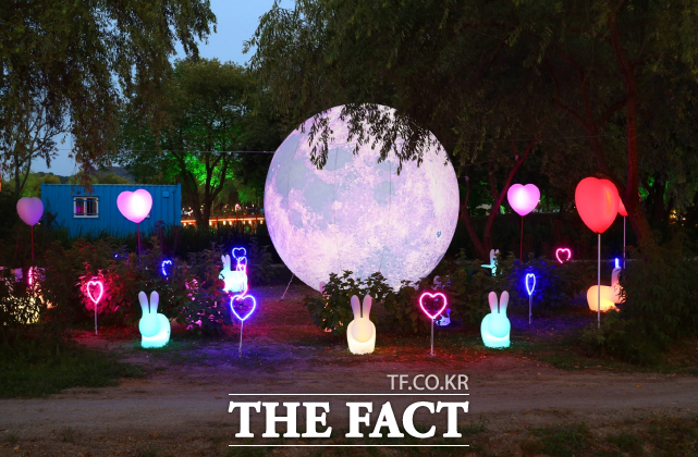 부여서동연꽃축제 야경. /부여군