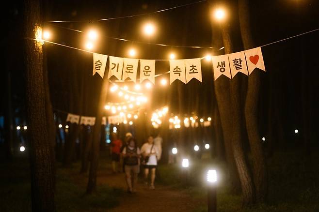 속초해수욕장 야간 송림 산책로.