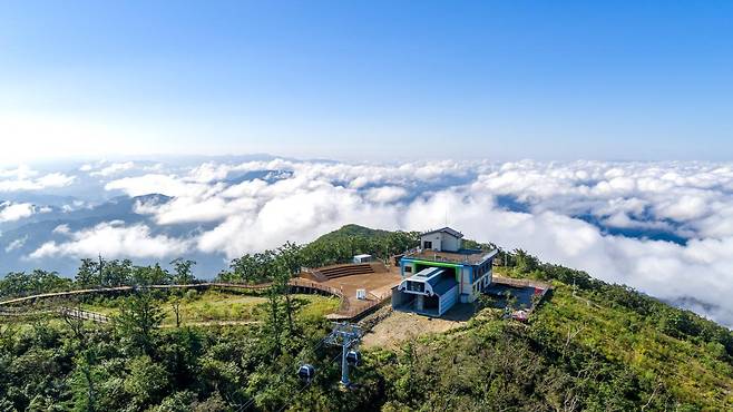 케이블카가 운행하는 가리왕산 정상의 운해. 정선군 제공