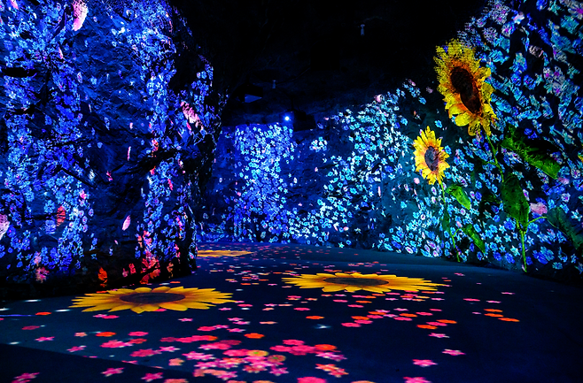 다양한 빛과 영상이 어우러지는 화암동굴.