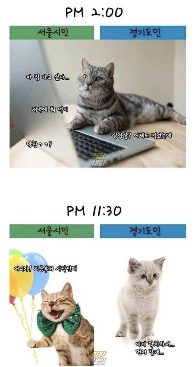 서울시민vs경기도민 출퇴근 차이