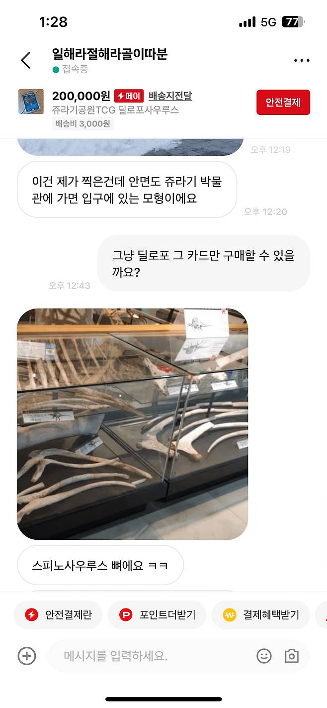 번개장터 극한의 공룡빌런 ㄷㄷ .jpg