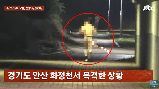 경기 안산시 단원구 화정천에서 한 50대 남성이 알몸으로 러닝하다가 경찰에 체포됐다. /사진=JTBC '사건반장' 캡처