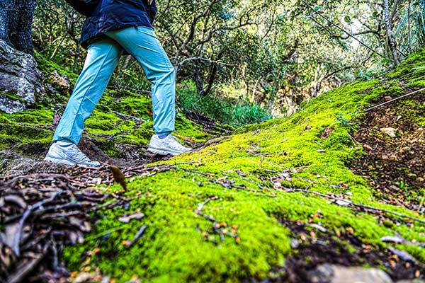 코스 초반에는 이끼가 짙게 낀 오르막 숲길이 길게 이어진다.