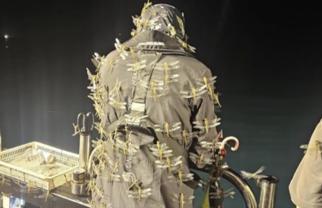 사진=JIBS 보도화면 캡처