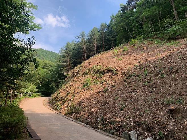 상당산성 옛길 급경사지 [청주시 제공. 재판매 및 DB 금지]