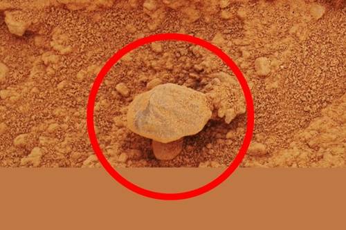 2013년 NASA의 큐리오시티 로버가 찍은 사진 / NASA