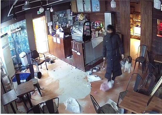 지난 2022년 1월, 서울 마포구 소재 동물 카페를 운영하는 A씨가 망치를 들고 개를 학대하고 있다. 서울시 제공