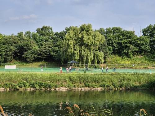 서울 강남구가 조성한 서울 최대 규모 파크골프장. [연합뉴스]