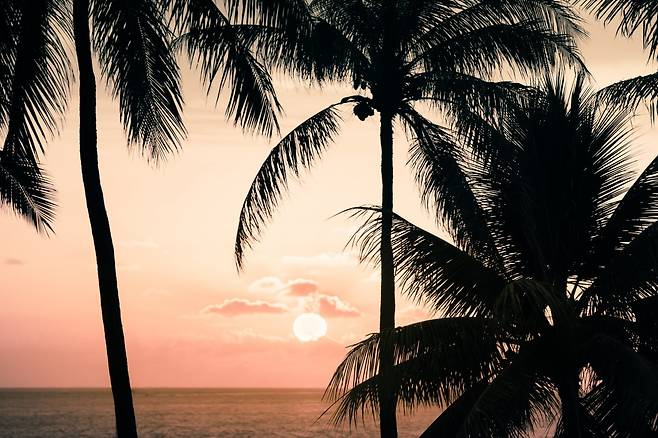 사진=게티이미지뱅크