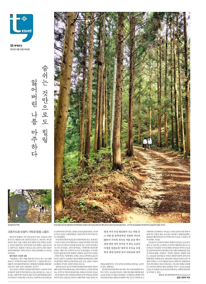세계일보 여행면.&nbsp;