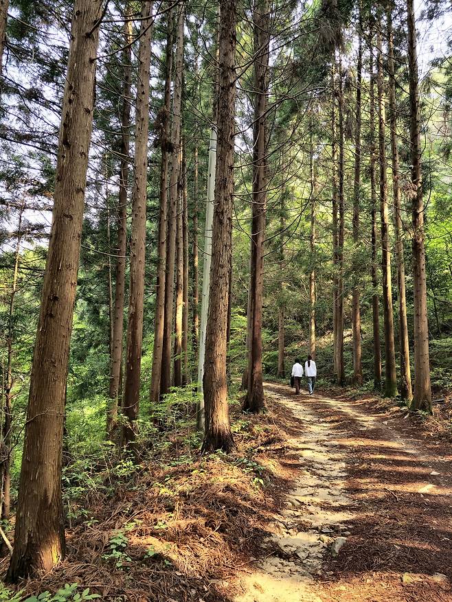국립천관산자연휴양림.