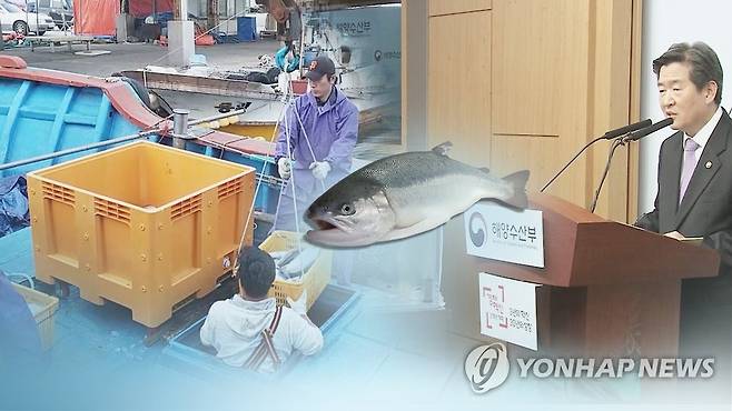 (CG) [연합뉴스TV 제공]