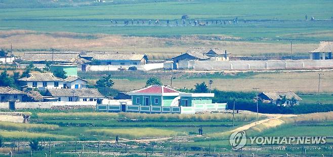 막바지 모내기하는 북한 주민들 (인천=연합뉴스) 임순석 기자 = 12일 인천 강화평화전망대에서 바라본 북한 황해도 개풍군 들녘에서 주민들이 막바지 모내기를 하고 있다. 2025.6.12 soonseok02@yna.co.kr