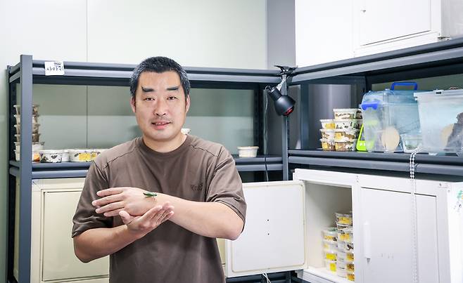 울산 사회적기업 '숲속의 작은친구들' 이용화 대표가 국내 최초로 멸종위기종인 비단벌레의 복원에 성공한 가운데 복원된 비단벌레를 보여주고 있다. 이수화 기자