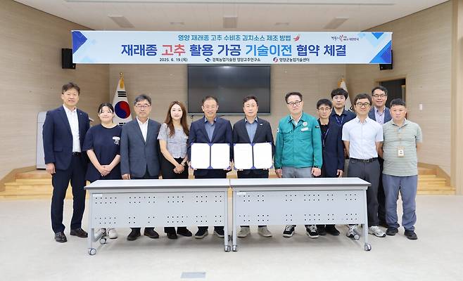 경북농업기술원이 지난 19일 영양군농업기술센터와 ‘수비초 김치소스 제조기술’ 이전 협약을 체결한 뒤 기념사진을 찍고 있다./경북도 제공.