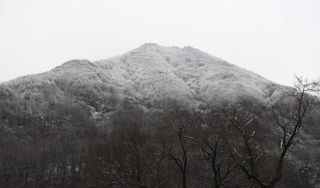 임창곤 작, '가창'