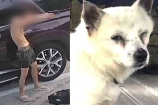 사진=유튜브 ‘멍멍이삼촌과 동행 반려견행동교정’ 캡처