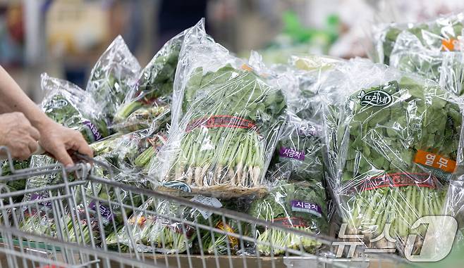 열무, 참외 등 여름 제철 농산물 가격이 줄줄이 오름세를 보이는 가운데 22일 서울 시내의 한 대형 마트에 열무와 시금치 등이 진열돼 있다. 2025.6.22/뉴스1 ⓒ News1 이승배 기자