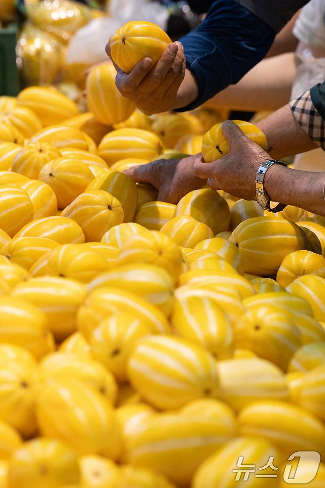 열무, 참외 등 여름 제철 농산물 가격이 줄줄이 오름세를 보이는 가운데 22일 서울 시내의 한 대형 마트를 찾은 시민들이 참외를 고르고 있다. 2025.6.22/뉴스1 ⓒ News1 이승배 기자