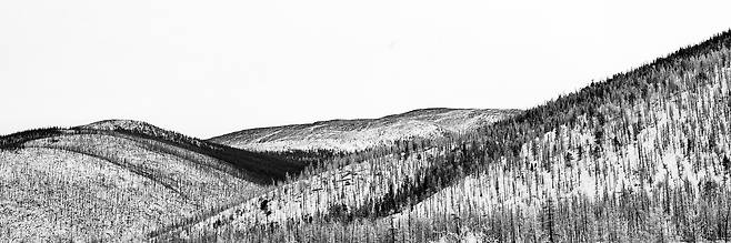 몽골 중부지역, 몽골의 민둥산부터 여러 수종을 한번에 보는 풍경이다. 2015년/ 사진가 도재홍