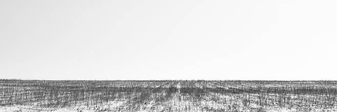 몽골 투브(tuv)아이막…가을 추수후 눈이 내린 농장의 풍경, 2015년/ 사진가 도재홍