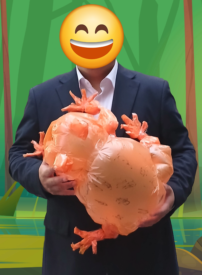 만들기) 주황색 비닐 두꺼비