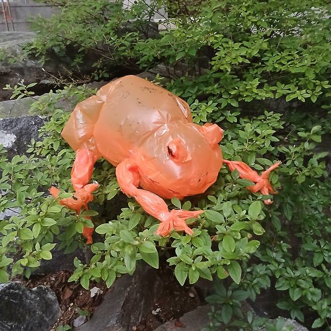 만들기) 주황색 비닐 두꺼비