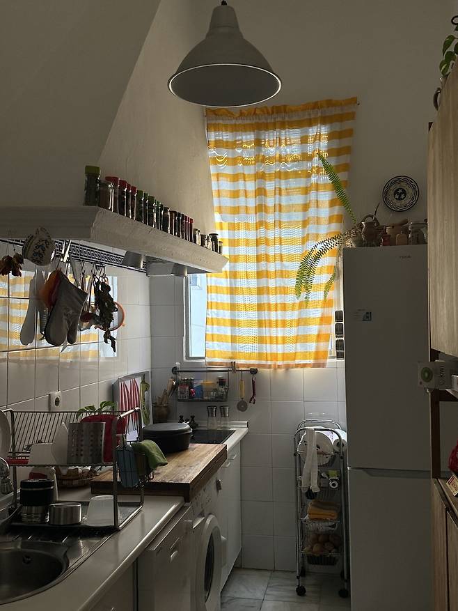 IMG_9969.jpeg 스압) 외노자의 말라가 세비야 방문기