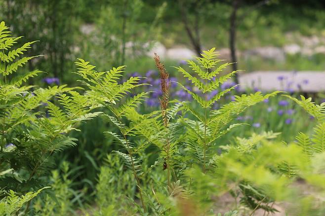 고비. 허태임 제공