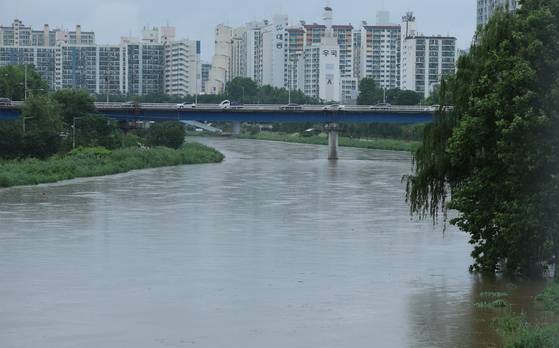 20일 내린 강한 호우로 서울 중랑천의 하천 수위가 상승해 있다. 뉴스1