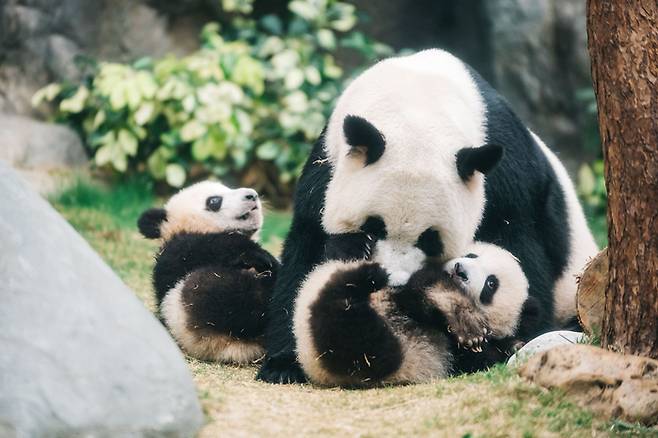 사진= 홍콩관광청