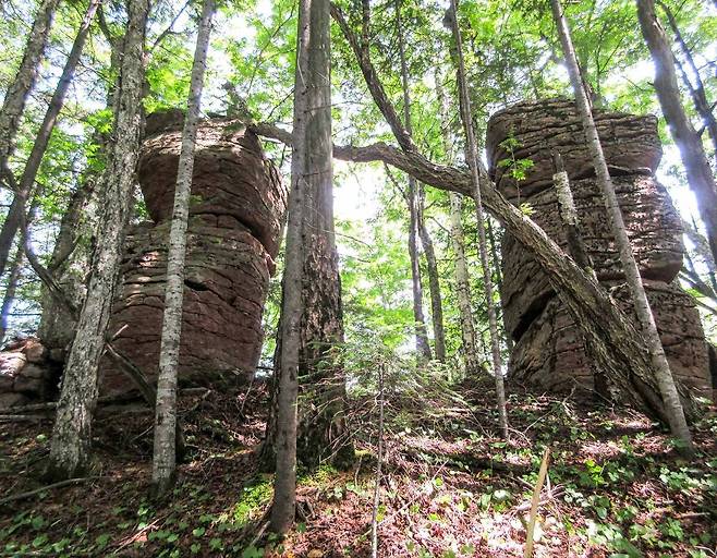 북한 노동당 기관지 노동신문은 15일 세계지질공원인 백두산 지구의 간백산소금바위, 증암산기암, 북포태산의 용암바위, 소백산기암 등을 소개했다. 사진제공 평양 노동신문=뉴스1