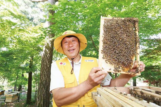 김대립 명인이 LG가 조성한 토종 꿀벌 서식지에서 꿀벌통을 들어 보이고 있다. ⓒLG그룹 제공