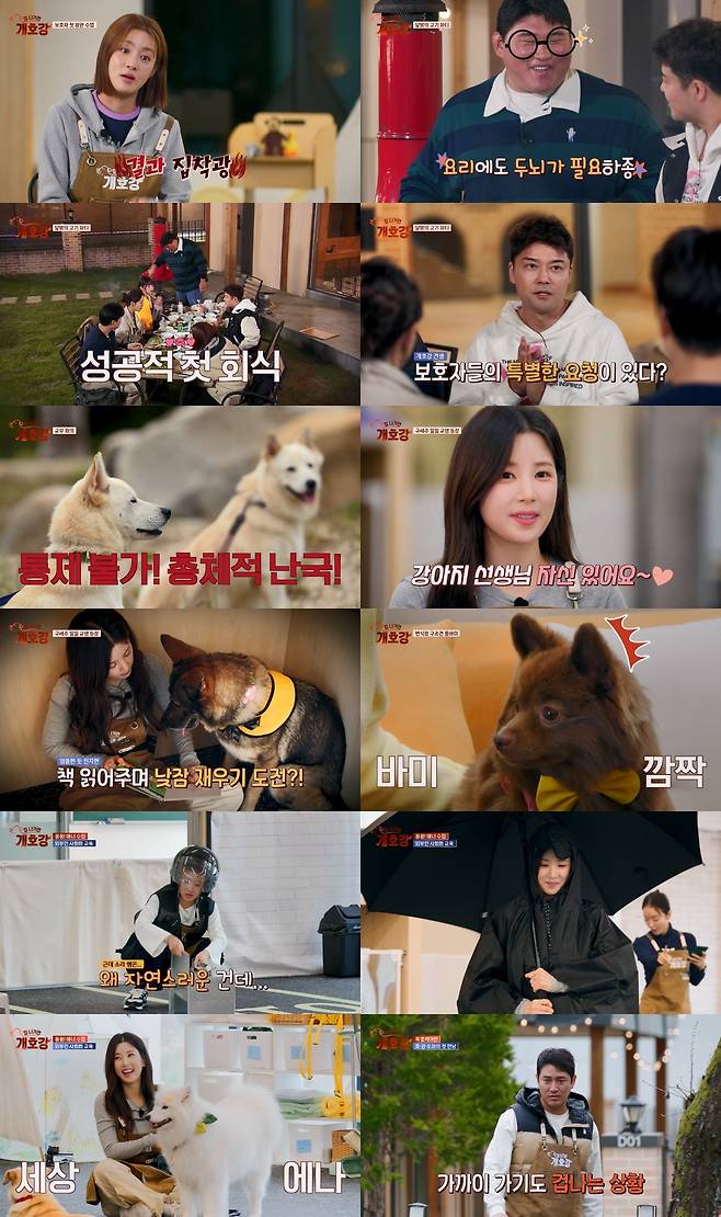 JTBC ‘집 나가면 개호강’