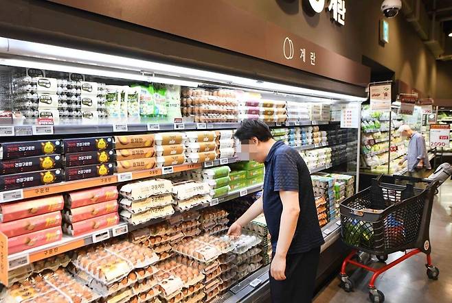 홈플러스 메가푸드마켓 라이브 강서점  [홈플러스 제공. 재판매 및 DB금지]