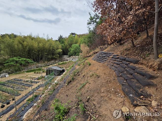 '산사태 막자'…자연재난 대비 울주군 곳곳 사방시설 [울주군 제공. 재판매 및 DB 금지]