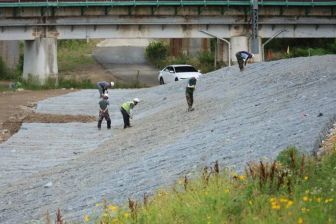 대전 갑천 상류 제방 복구 작업 현장 [촬영 강수환]