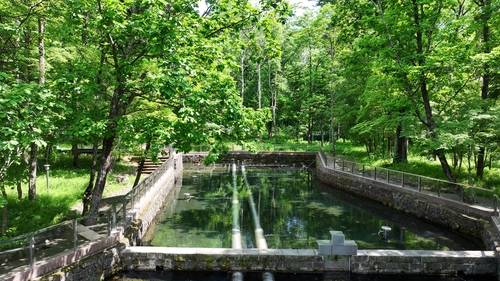 백산수 수원지 [농심 제공. 재판매 및 DB금지]